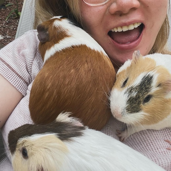 Meet your Posher, Cynthia - Picture 4 of 4